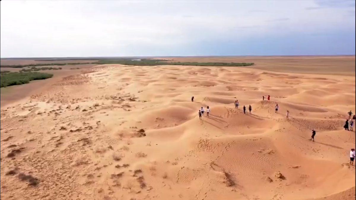 Калмыкия степь