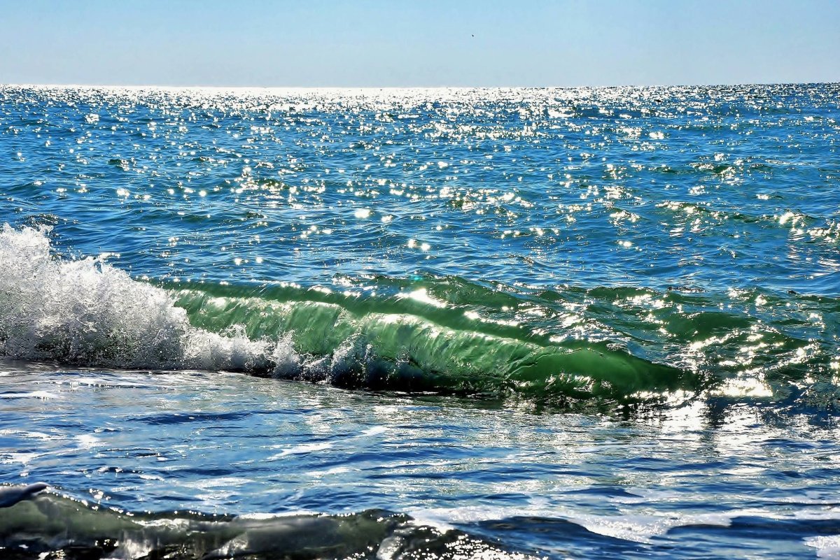 Самое черное море