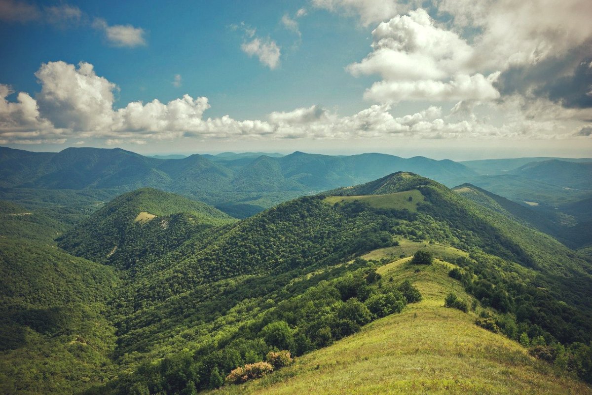 Гора Нексис в Геленджике