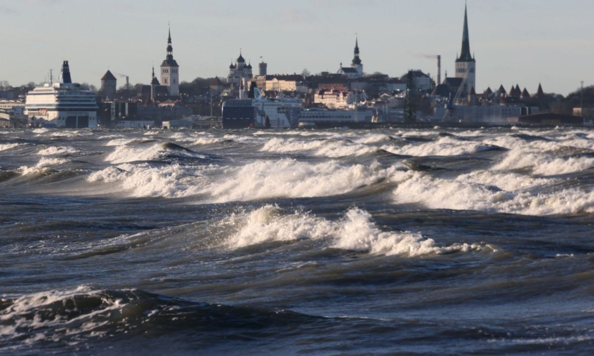 Балтийское море Таллин