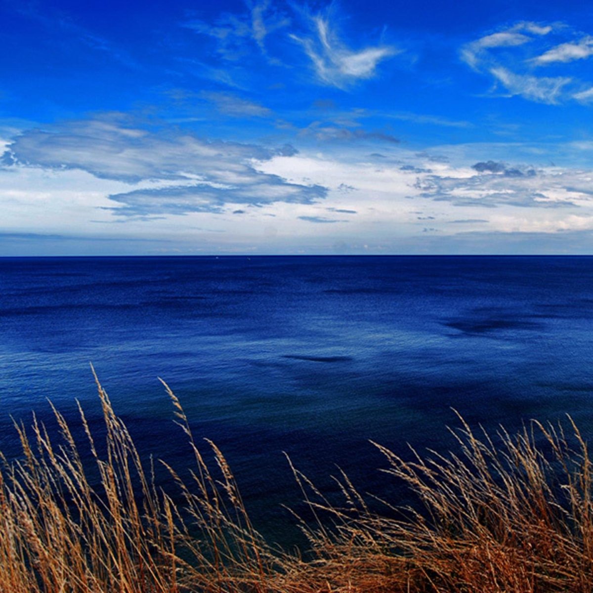 Балтийское море природа