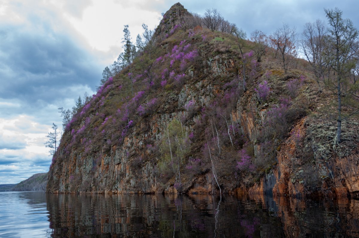 Шамбала Пинежье Амурская