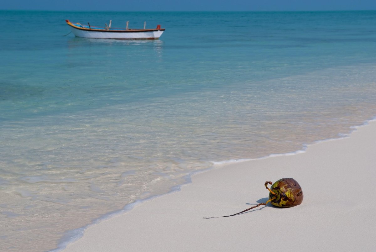 A Vikram–Aditya story: Lakshadweep Adventure free