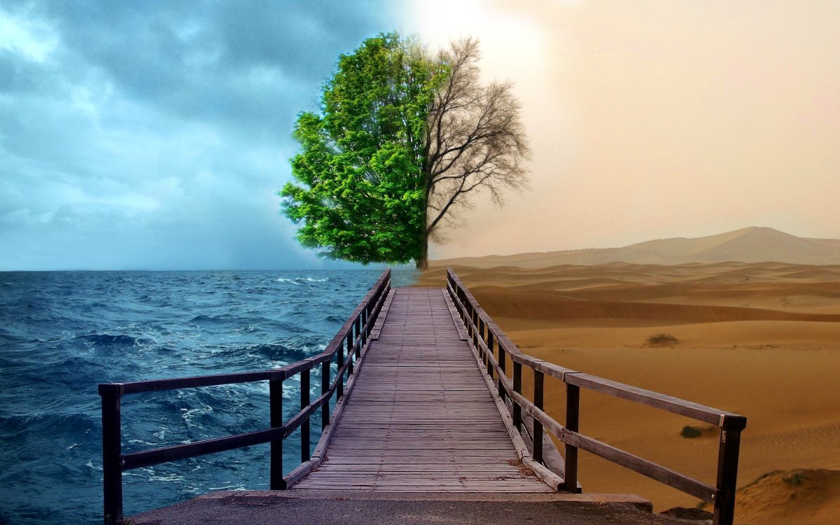 Жизнь природа