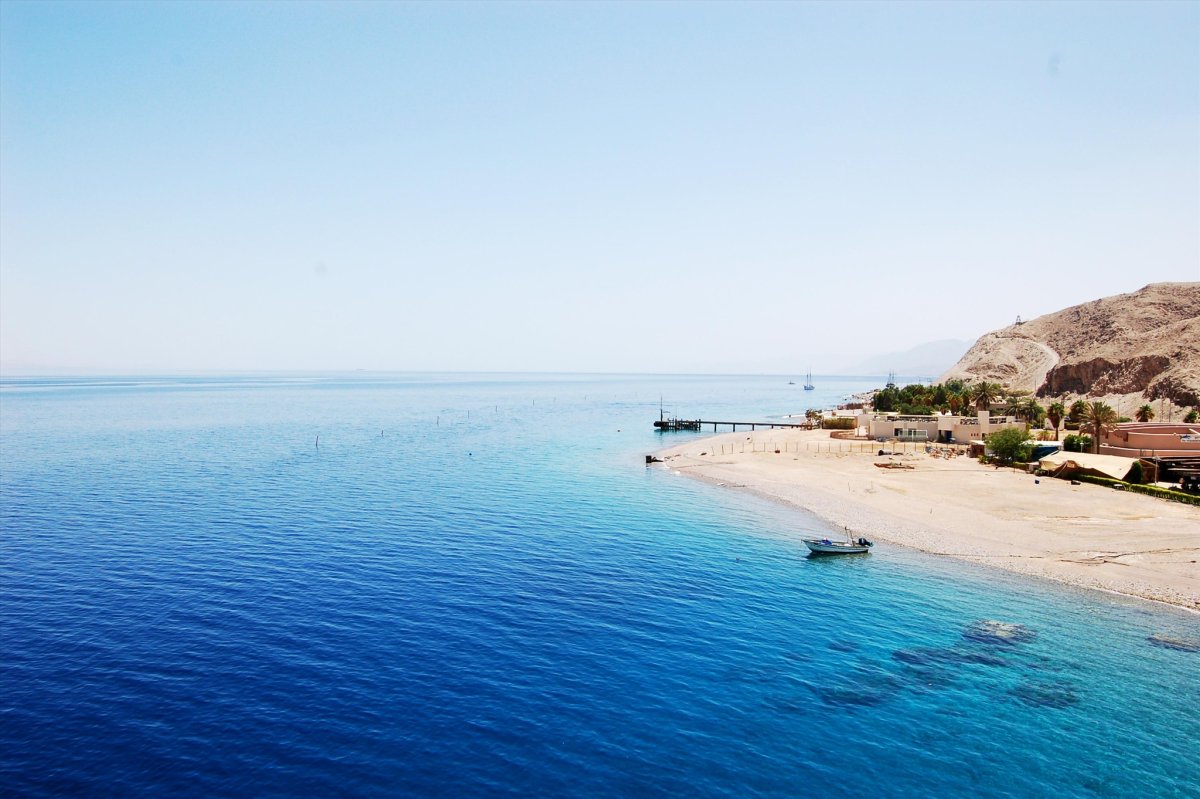 Красное море Береговая линия