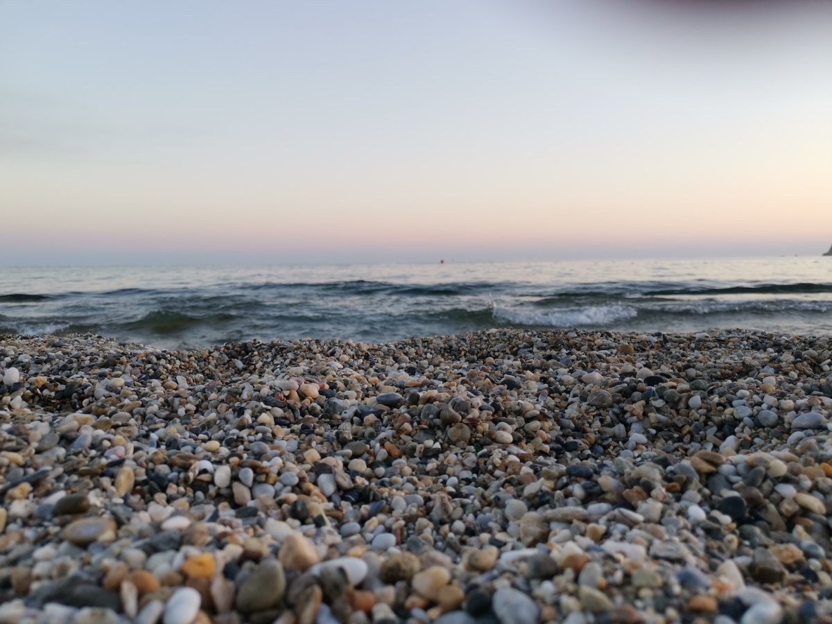Берег черного моря
