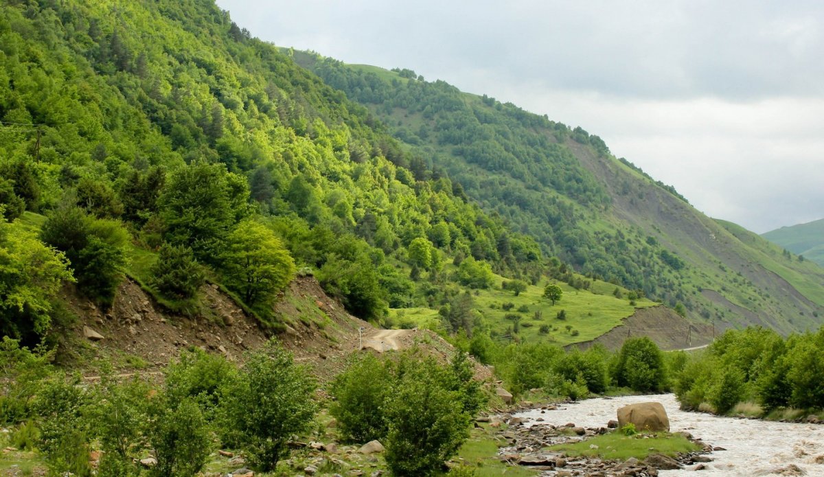 Горы Сунженский район Чечня