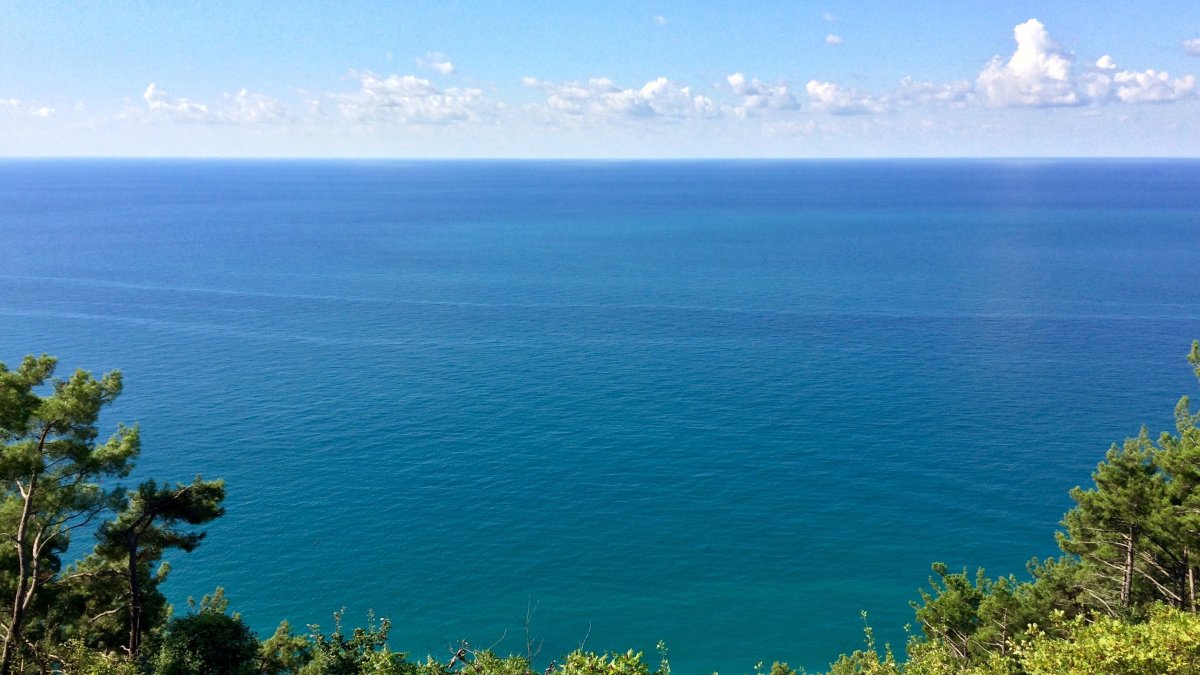Черное море и горы Сочи