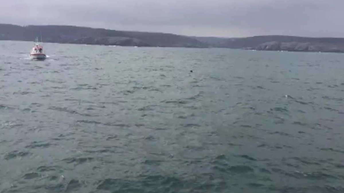Водные мины в черном море