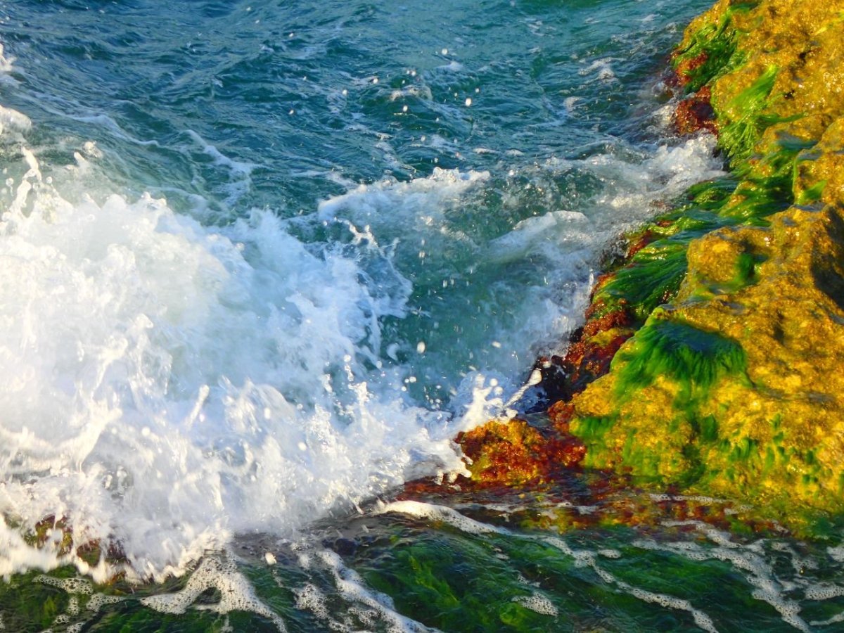 Каспийское море Баку