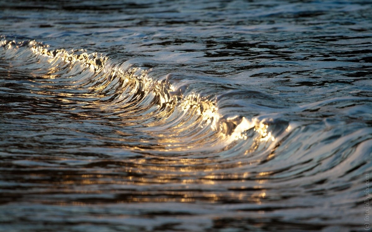 Волны на поверхности воды