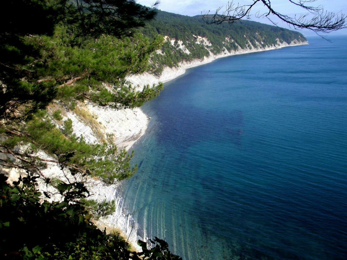 Бетта Криница