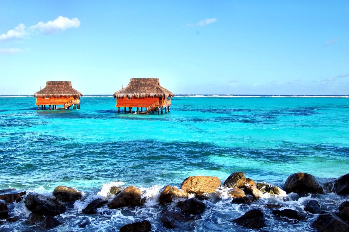 Sea Hut
