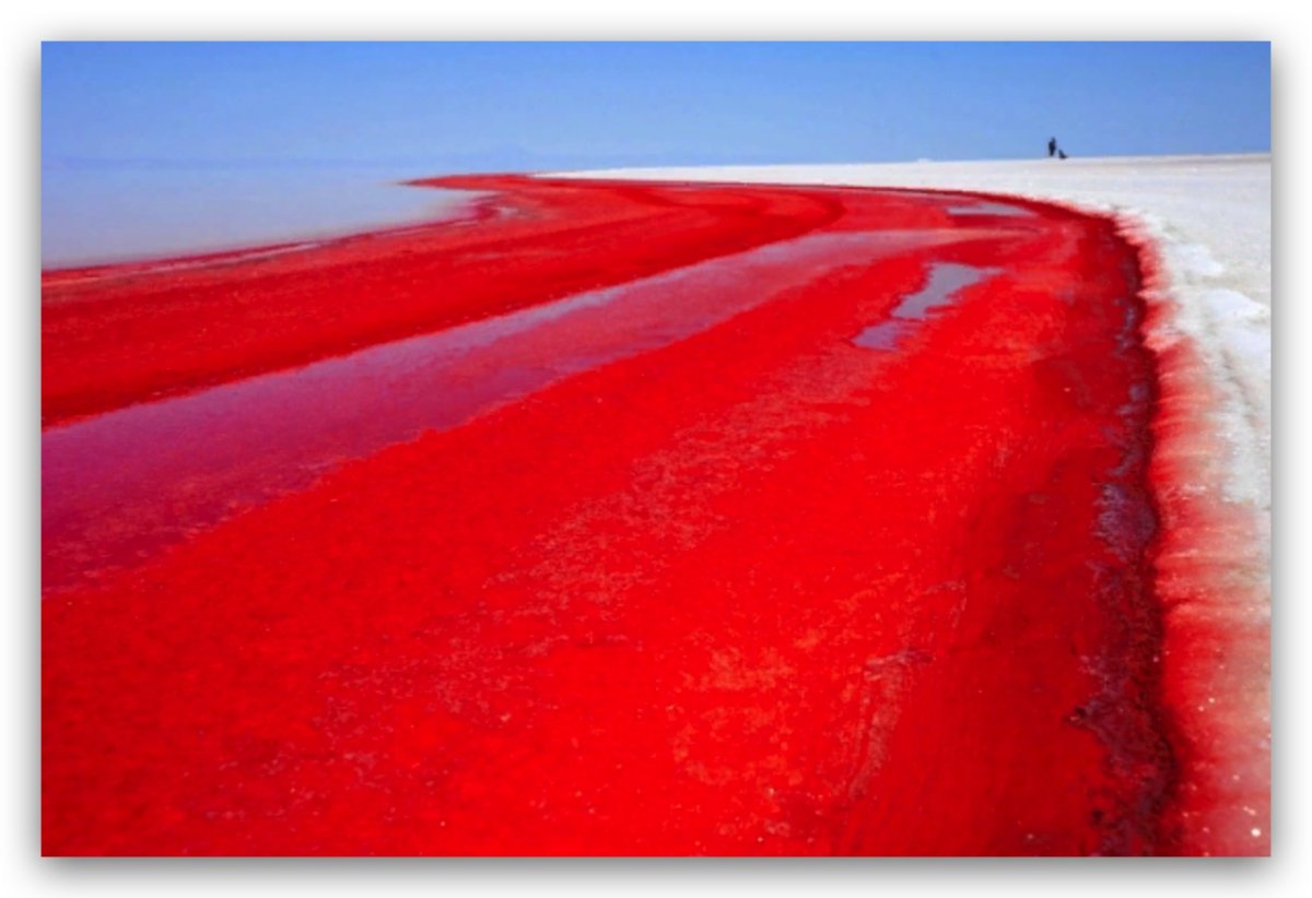 Dunaliella Salina озеро