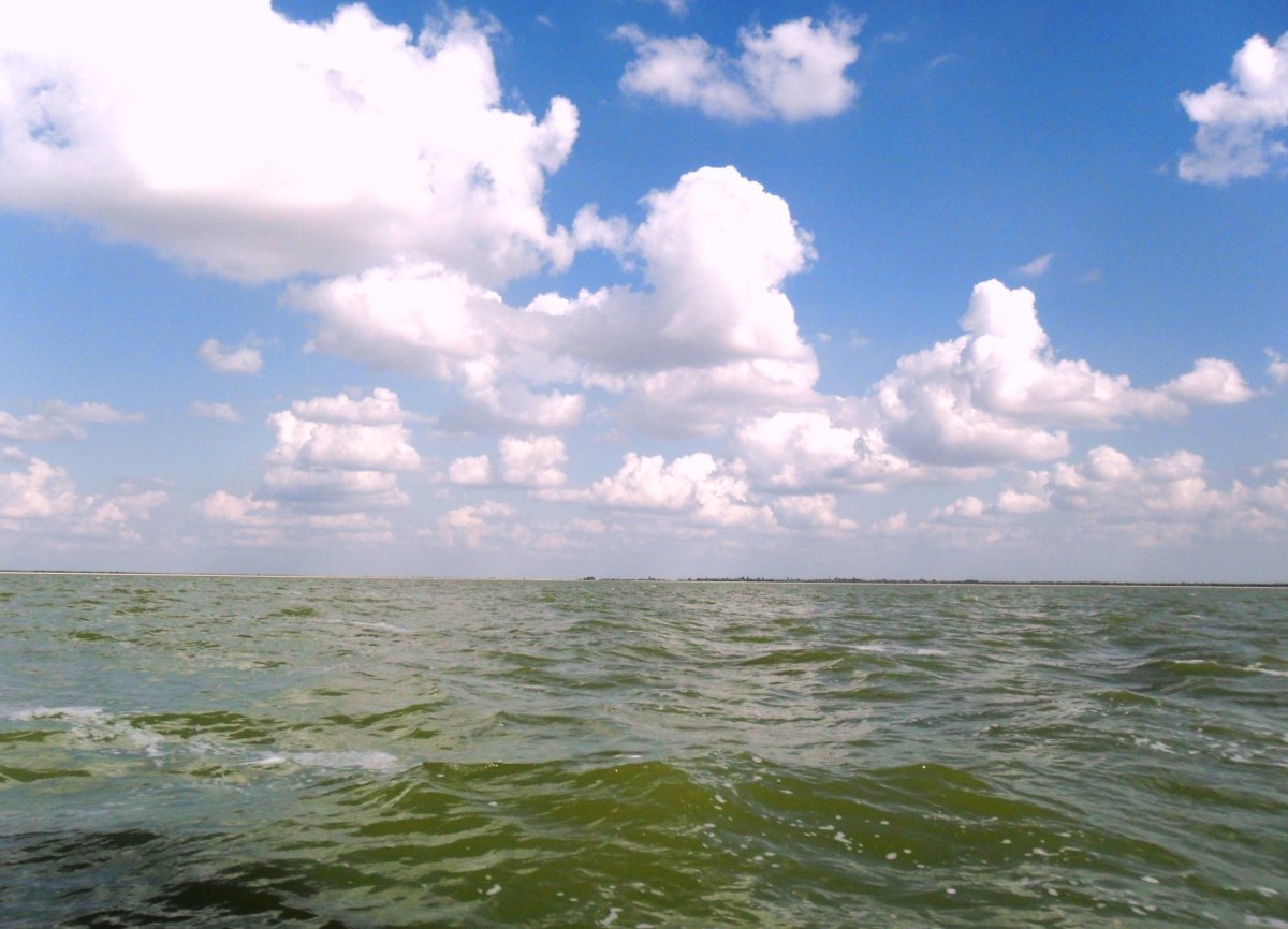 Азовское море в Дорогобуже