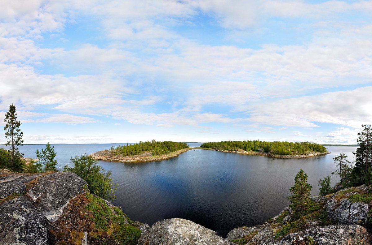 Потолки "белое море"