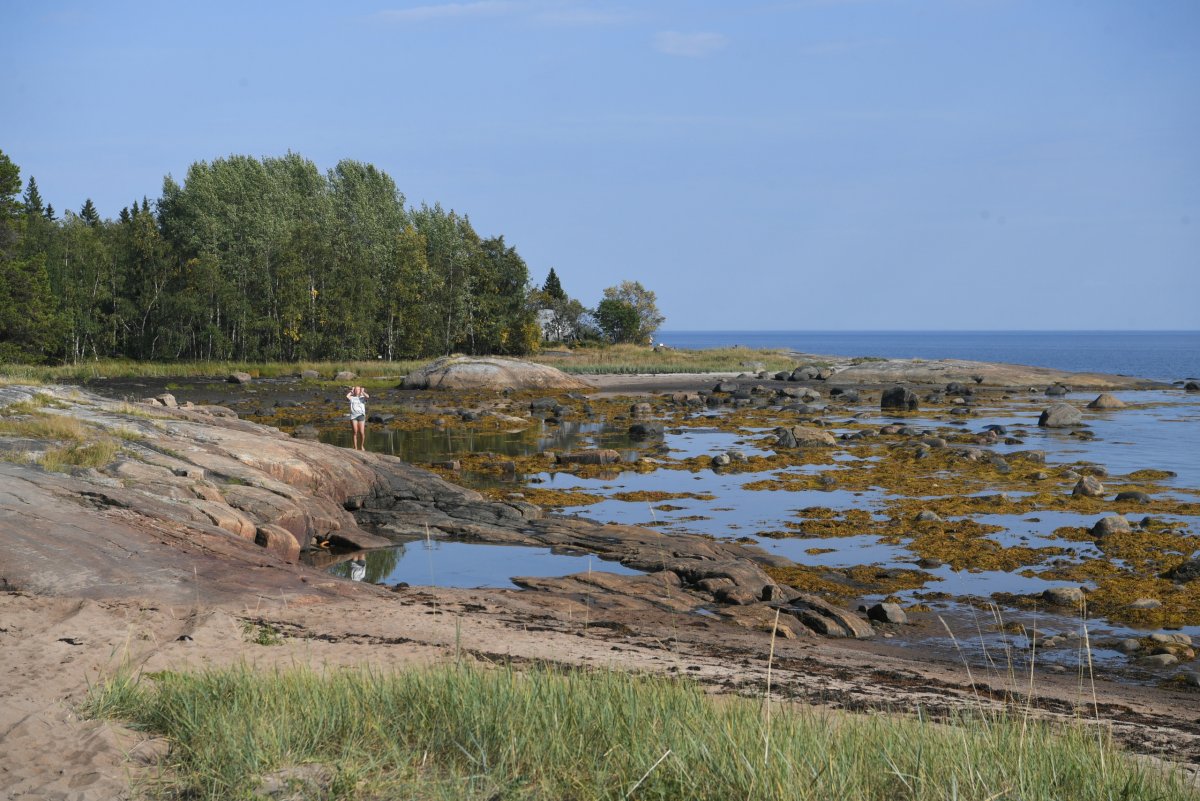 Белое море