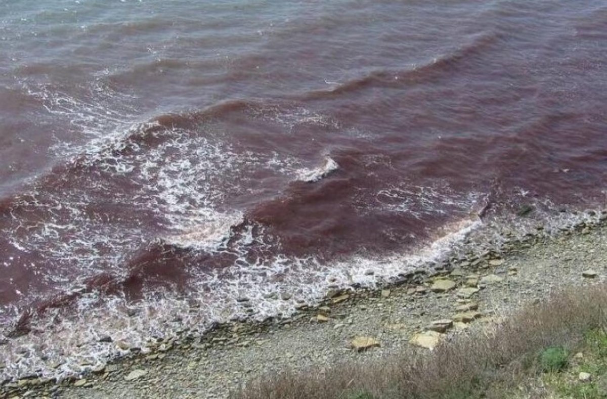 Море после шторма