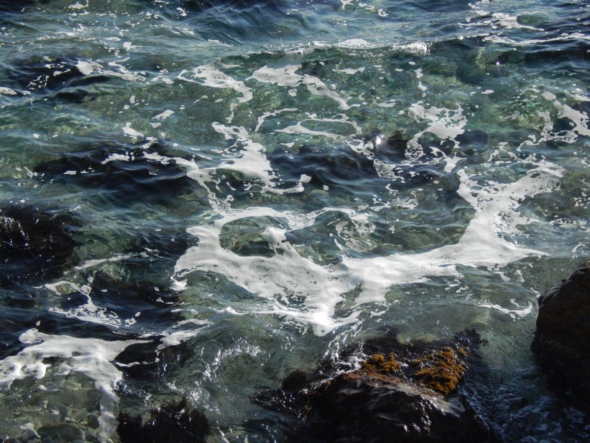 Водные объекты черного моря