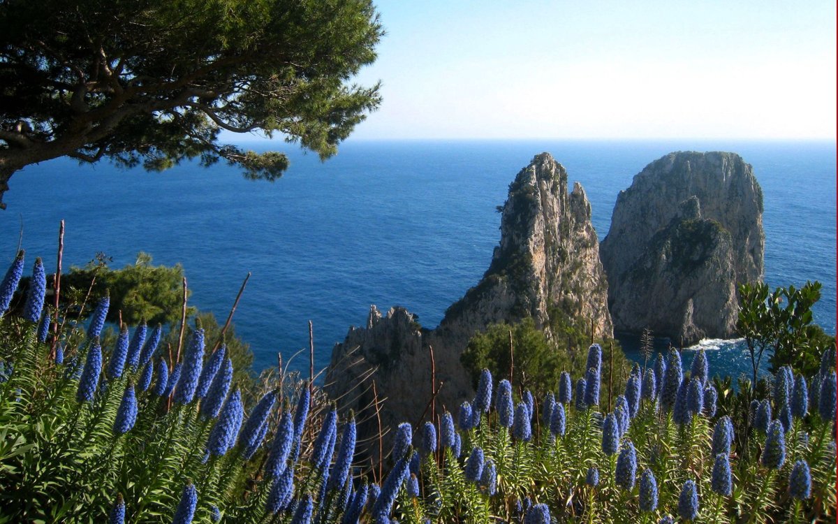 Ялта Крым кипарисы море горы