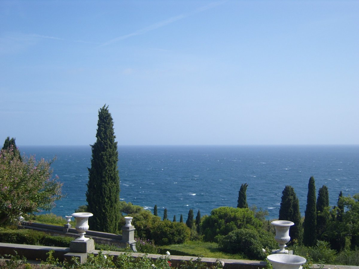 Кипарисы Ялта море