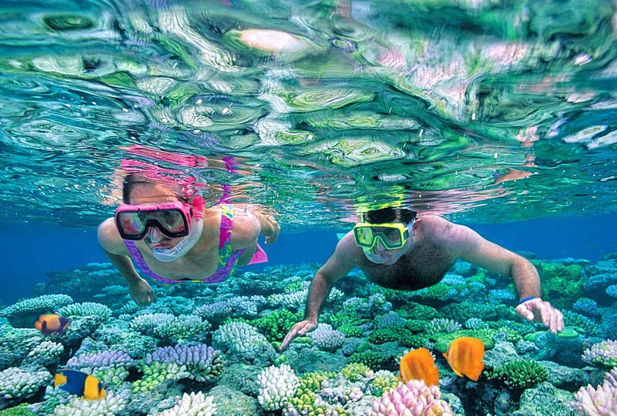 Снорклинг в Египте Шарм-Эль-Шейх