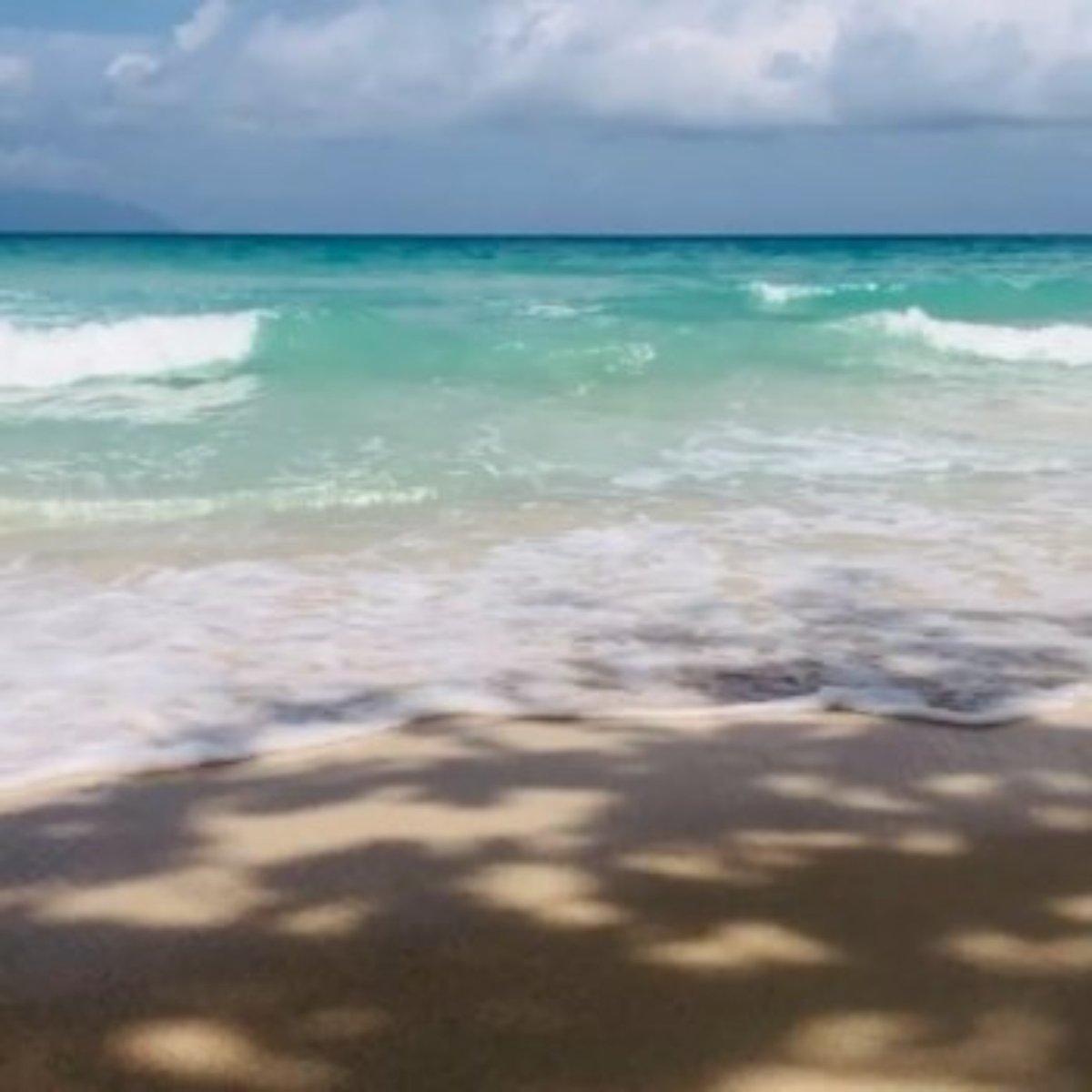 Ocean Breeze
