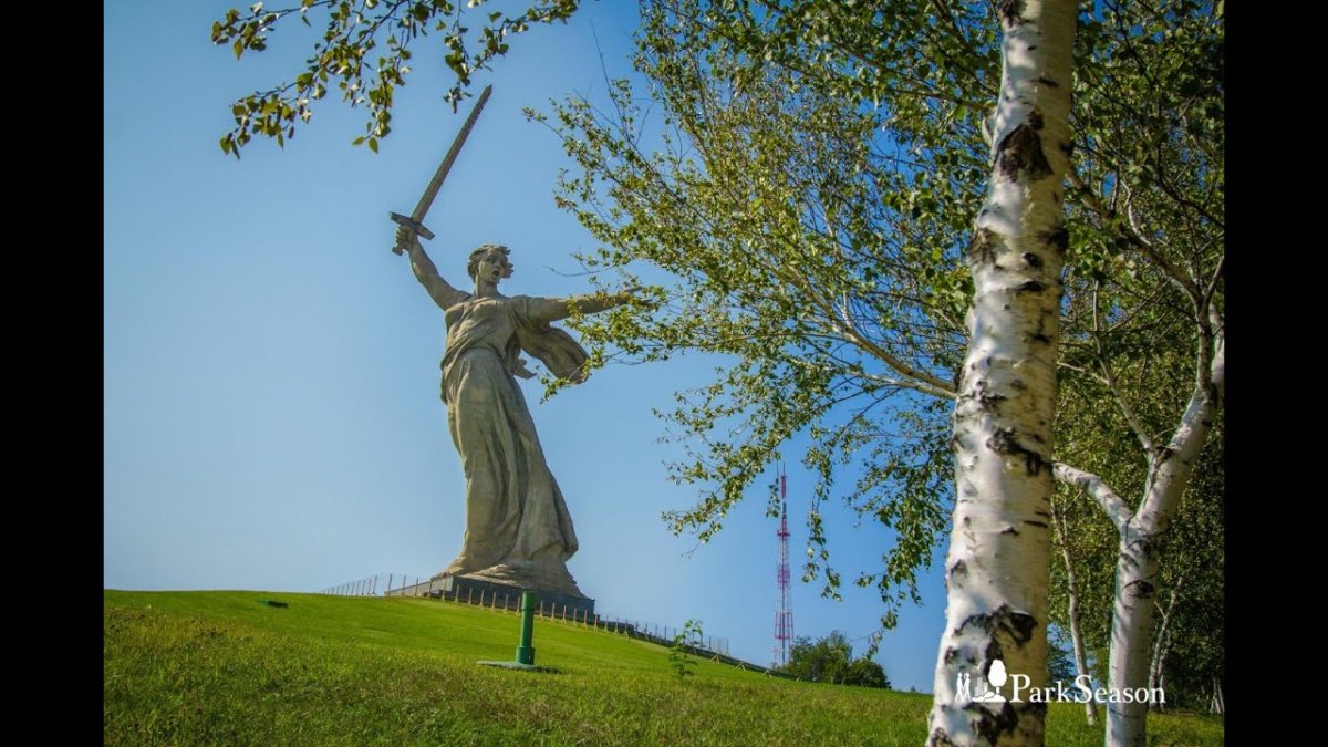 Волгоградские березы на Мамаевом Кургане