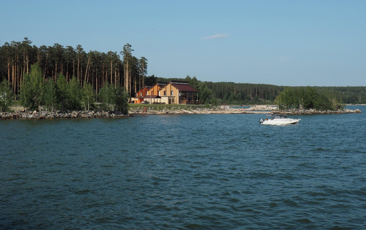 Обское море лес