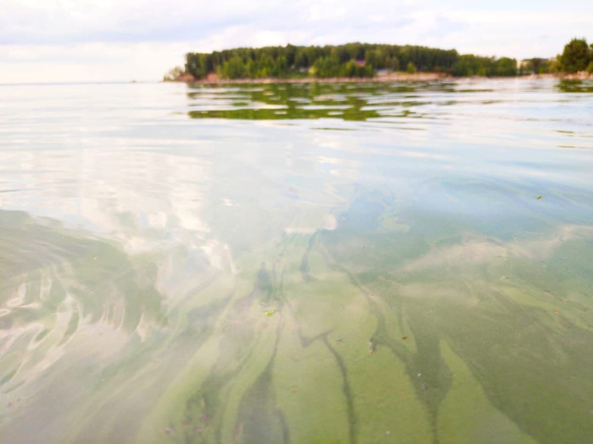 Море Новосибирск с гайками
