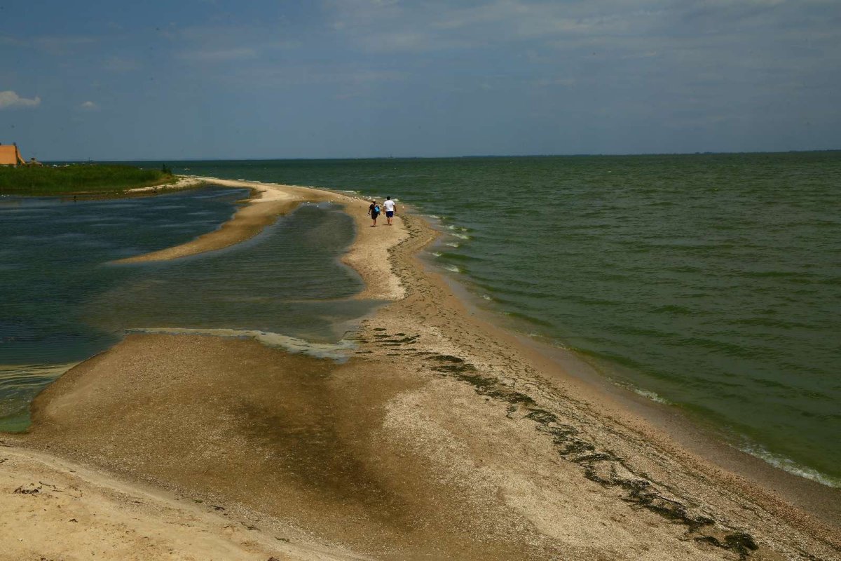Очаковская коса Азовское море
