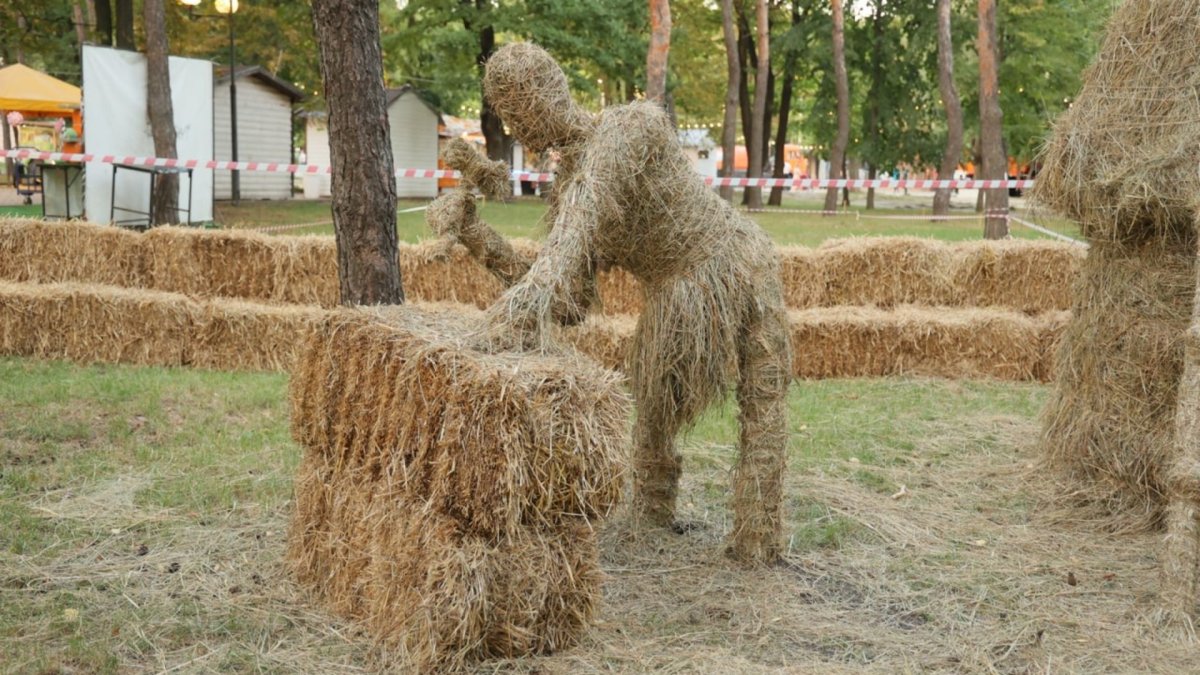 Соломенный парк Великовечное