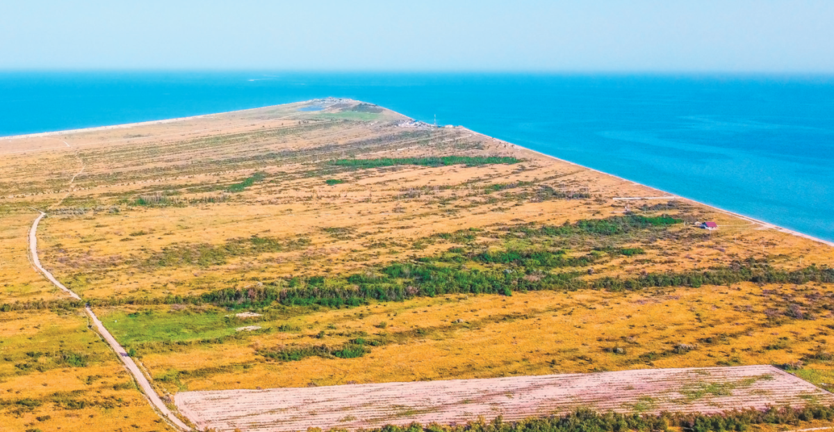 Долгая коса Краснодарский край