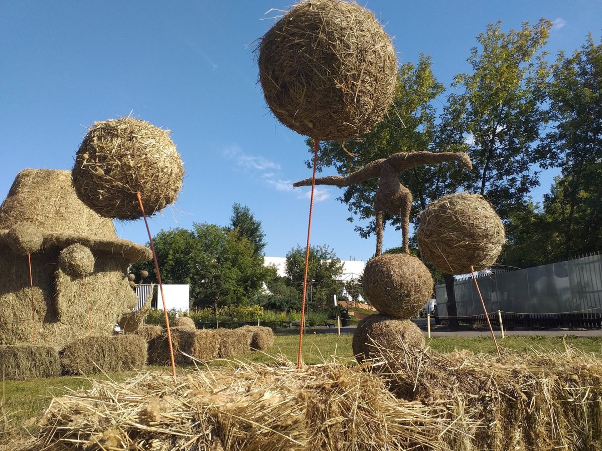 Поделки из сена