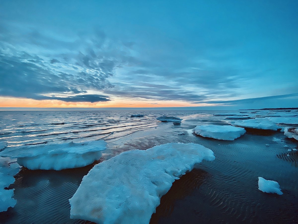 Белое море лед