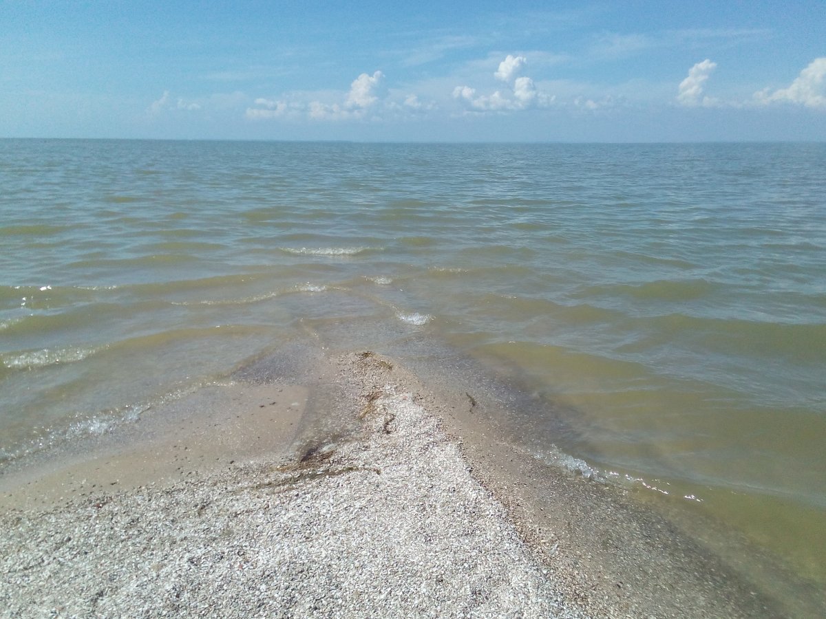 Павло-Очаковская коса Азовское море