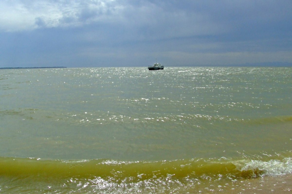 Азовское море Ростов