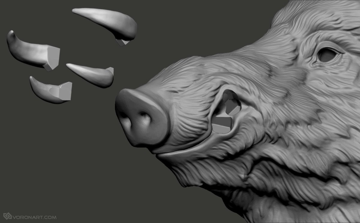 Кабан Zbrush