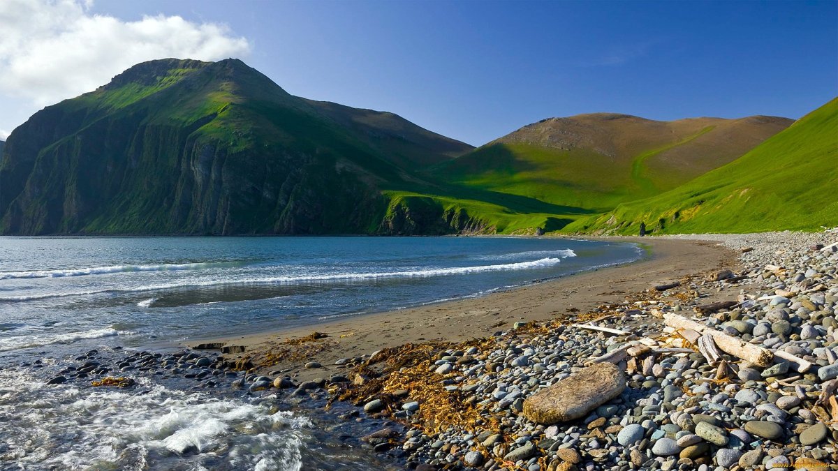 Командорский заповедник Камчатский край