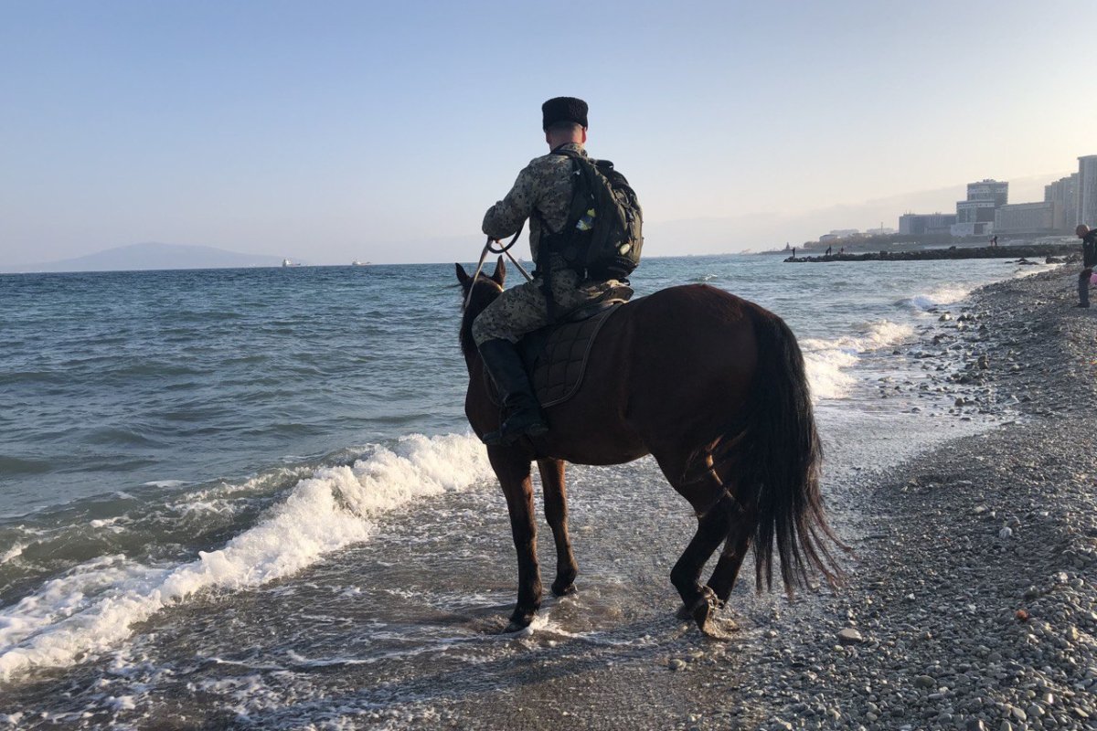 Купание на черном море