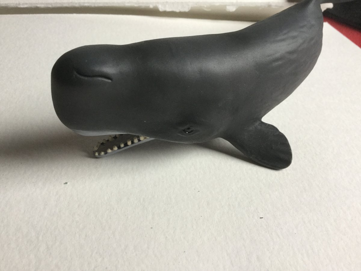 Фигурка Schleich Кашалот 14764