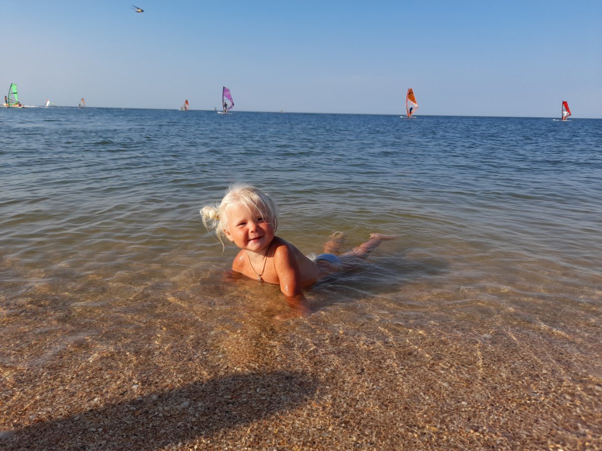 Медузы в Азовском море 2022