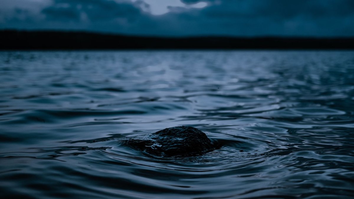 Черная вода
