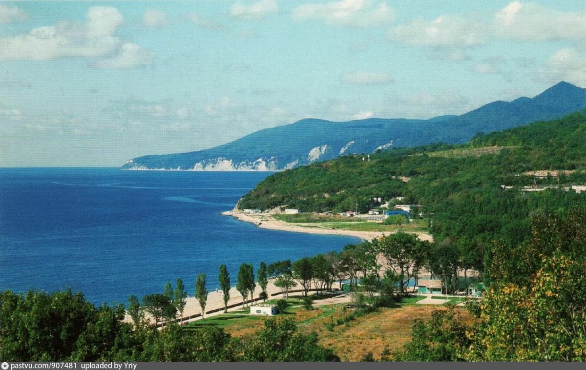 Поселок Криница Краснодарский