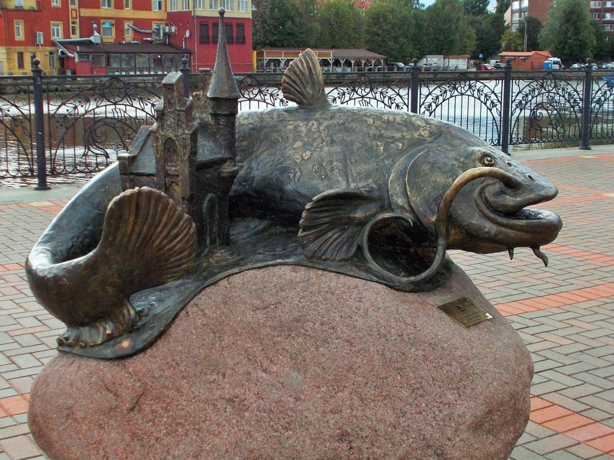 Сом в Калининграде памятник