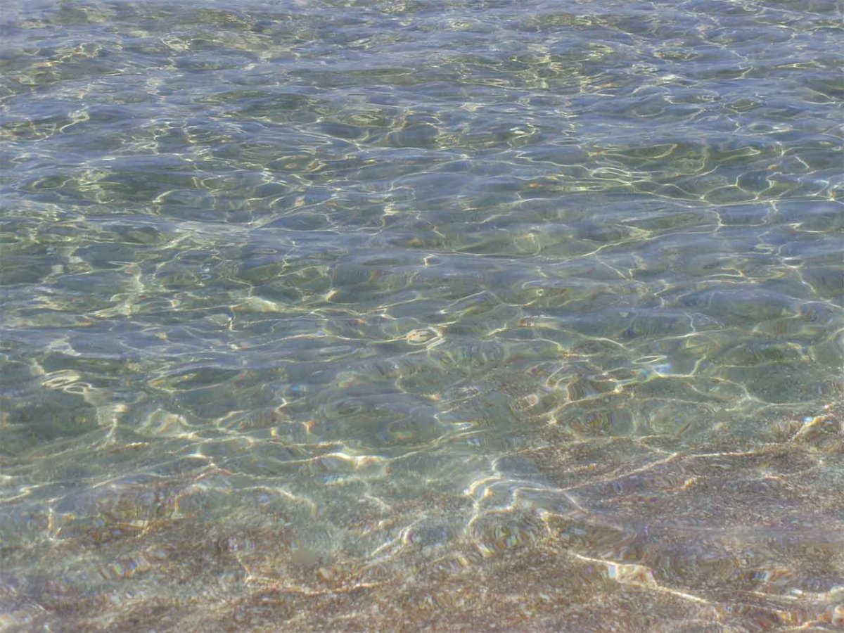 Черное море прозрачная вода