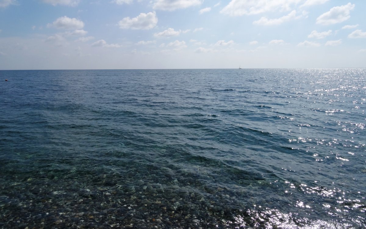 Чудеса черного моря
