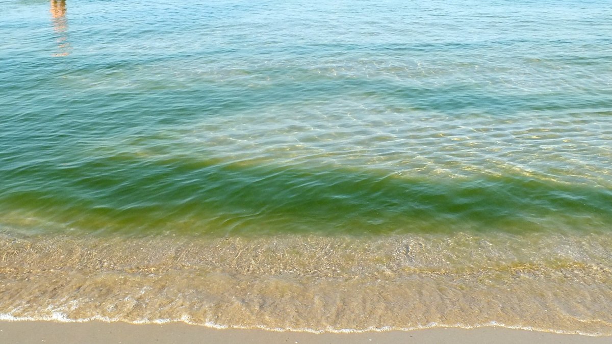 Джемете море