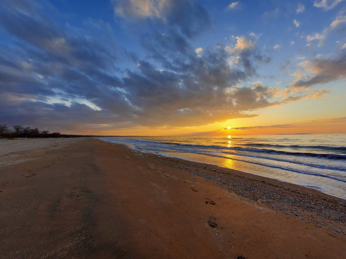 Азовское море природа