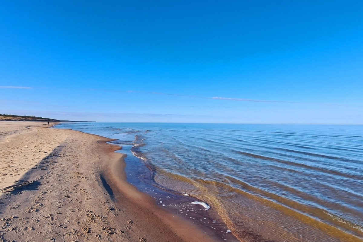Балтийское море бельгия